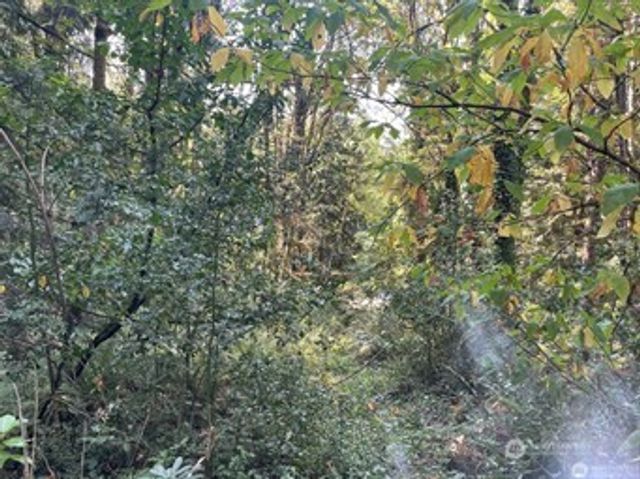 0 Melcher Street, Port Orchard, WA 98366