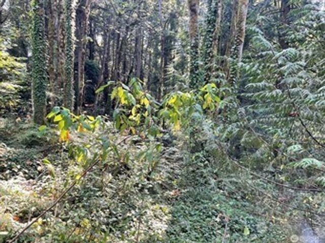 0 Melcher Street, Port Orchard, WA 98366