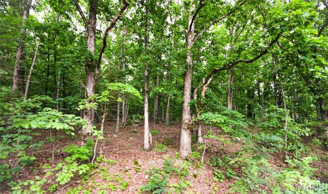 10102 Highway 67, Fredericktown, MO 63645