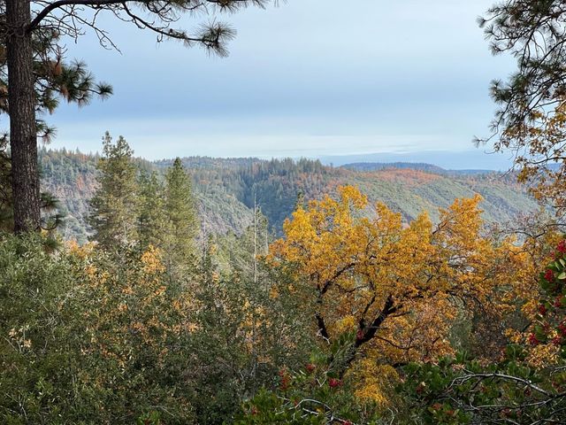 24275 Grand View, Colfax, CA 95713