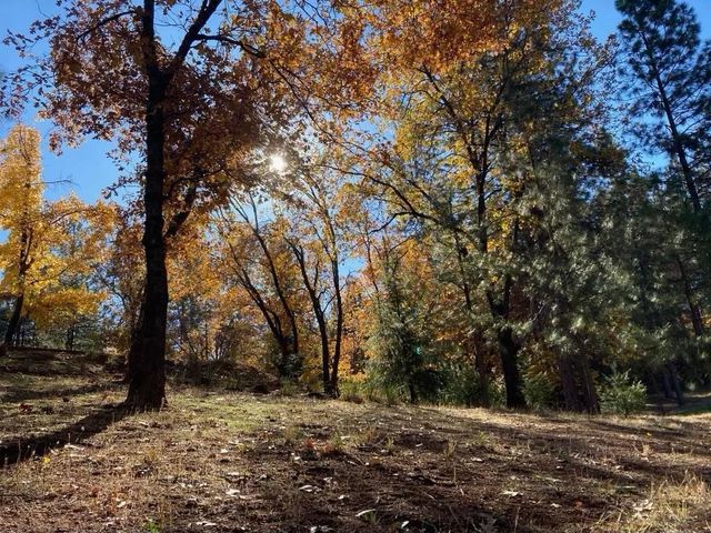 24275 Grand View, Colfax, CA 95713