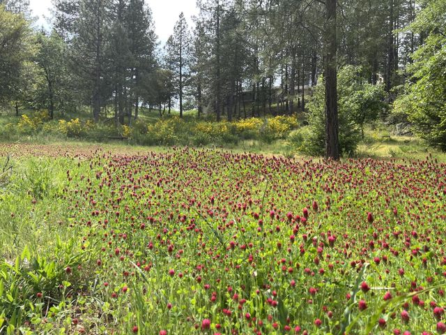 24275 Grand View, Colfax, CA 95713