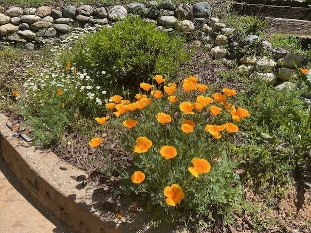 24275 Grand View, Colfax, CA 95713