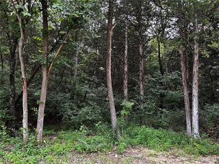 237 Incline Village (Red Cedar), Foristell, MO 63348