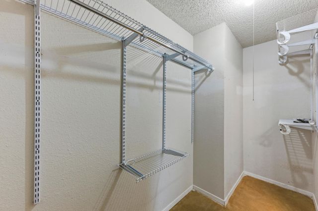 723 Shade Tree DR, Austin, TX 78748