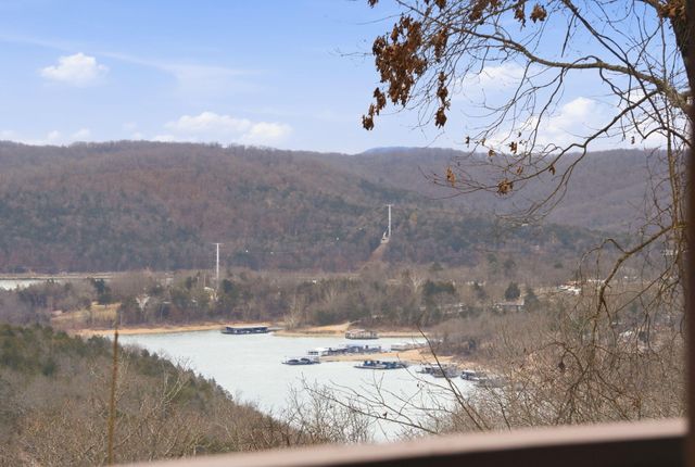 514 Rosehill Lane, Galena, MO 65656