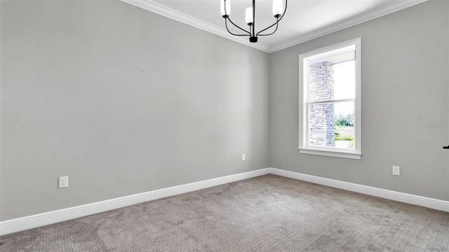 3725 TEA LEAF ALLEY, Land O Lakes, FL 34638