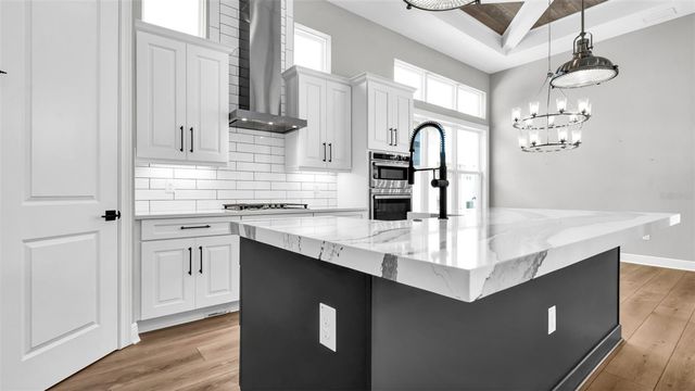 3725 TEA LEAF ALLEY, Land O Lakes, FL 34638