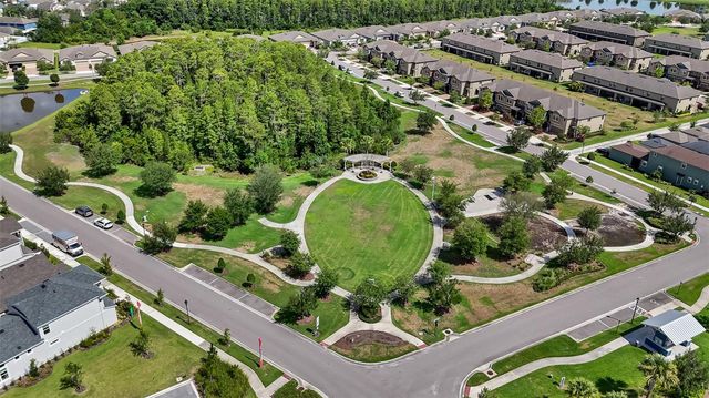 3725 TEA LEAF ALLEY, Land O Lakes, FL 34638