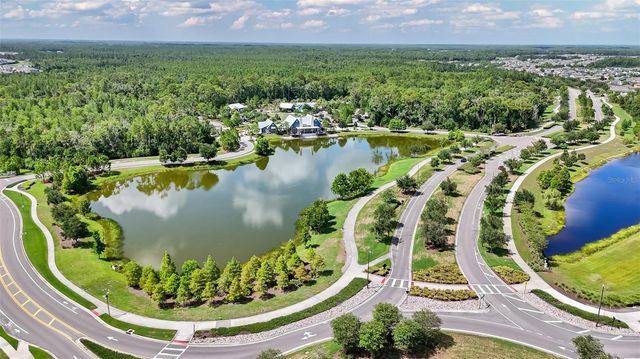 3725 TEA LEAF ALLEY, Land O Lakes, FL 34638