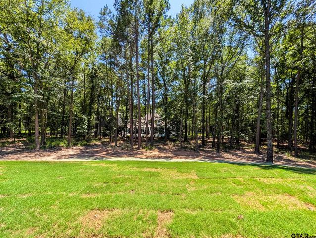 15337 Lakeside Dr, Tyler, TX 75707