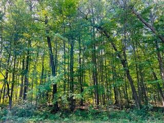 Lot 27 Fairway Drive, Roscommon, MI 48653