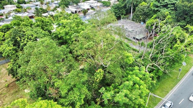 Carr 842 CAIMITO ALTO, San Juan, PR 00926