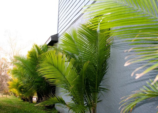 8323 REEFBAY COVE, Parrish, FL 34219