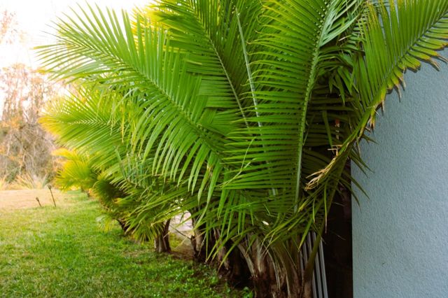 8323 REEFBAY COVE, Parrish, FL 34219