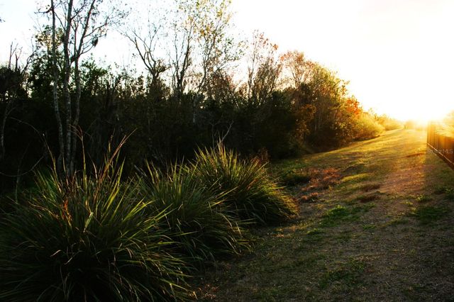 8323 REEFBAY COVE, Parrish, FL 34219