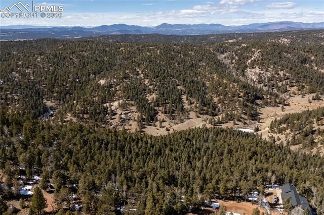 107 Haven Road, Divide, CO 80814