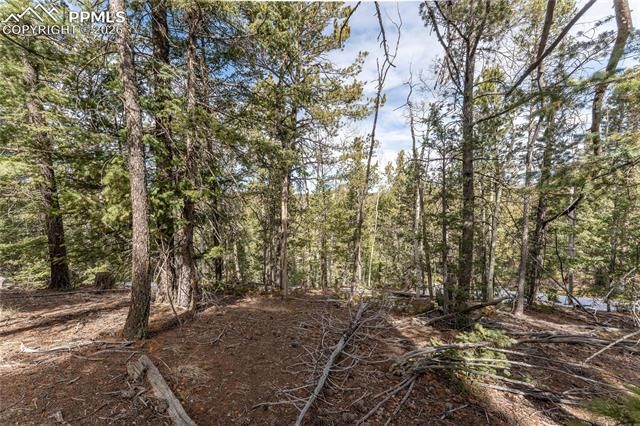 107 Haven Road, Divide, CO 80814