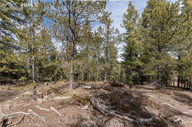 107 Haven Road, Divide, CO 80814