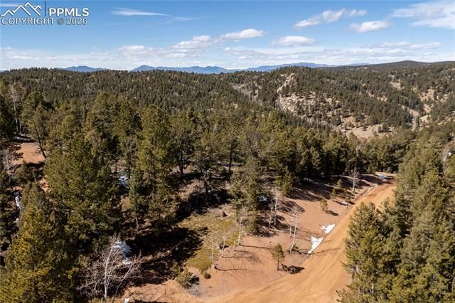 107 Haven Road, Divide, CO 80814