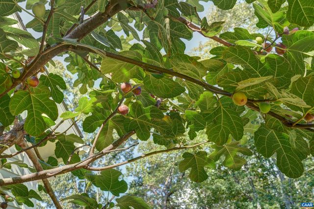 140 LYNX FARM LN, Charlottesville, VA 22903