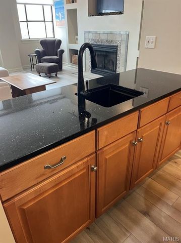 400 S 14th Street 1218, St Louis, MO 63103