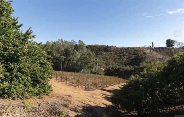 11155 San Antonio Way, Valley Center, CA 92082