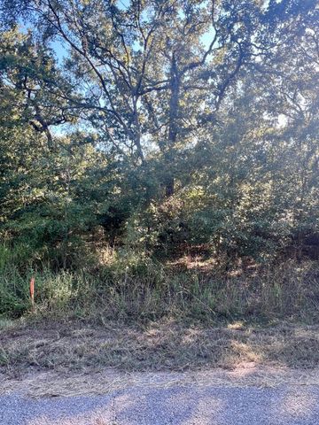 291 Buena Vista, Malakoff, TX 75148