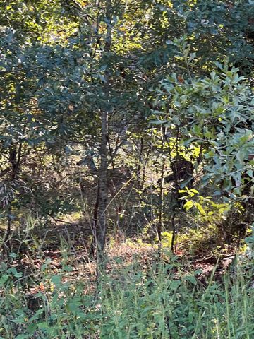 291 Buena Vista, Malakoff, TX 75148