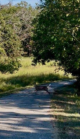 291 Buena Vista, Malakoff, TX 75148