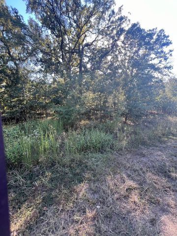 291 Buena Vista, Malakoff, TX 75148