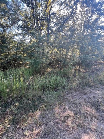 291 Buena Vista, Malakoff, TX 75148