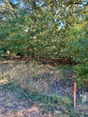 291 Buena Vista, Malakoff, TX 75148