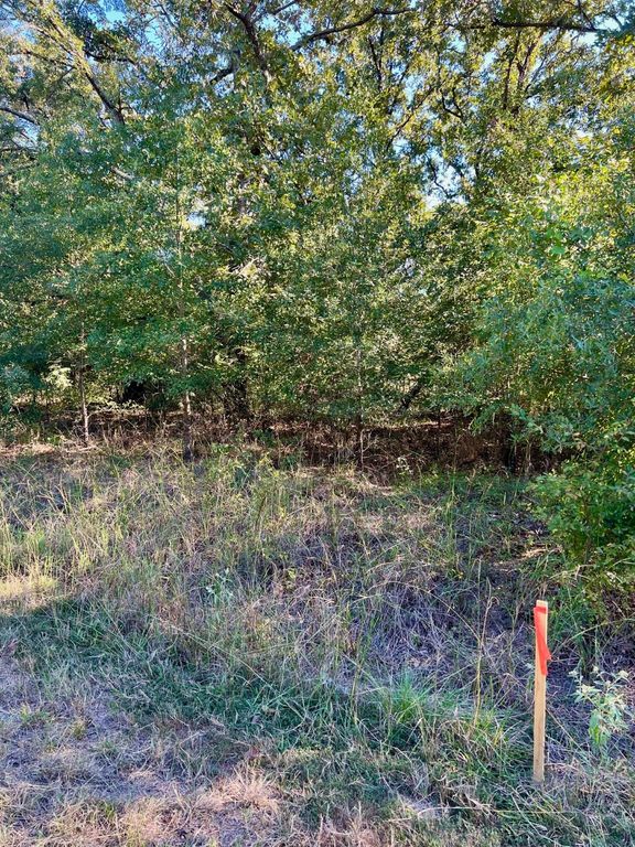 291 Buena Vista, Malakoff, TX 75148