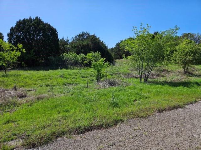 31041 Doe Run Ct, Whitney, TX 76692