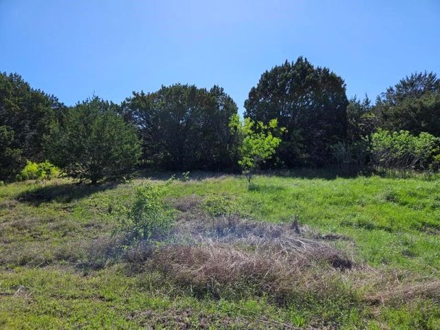 31041 Doe Run Ct, Whitney, TX 76692