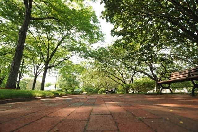 72-74 Chelsea St 9, Boston, MA 02128