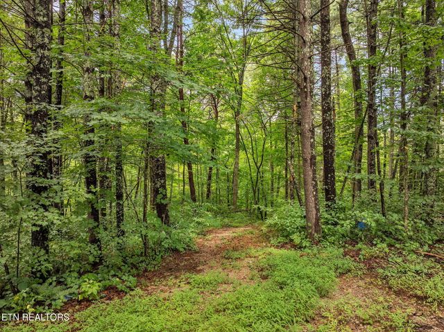 351 Zac Rd, Sunbright, TN 37872