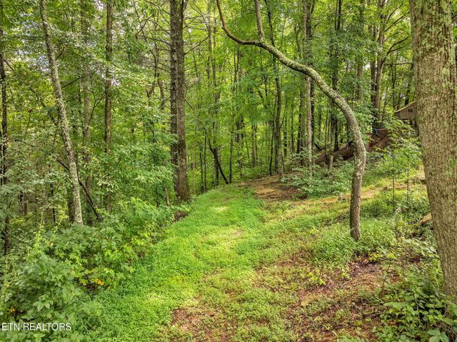 351 Zac Rd, Sunbright, TN 37872