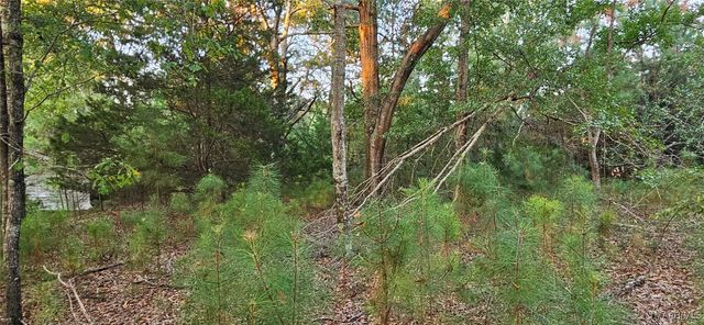 23725 Woodley Road, Ramer, AL 36069