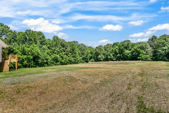 233 Lewis Grant Ln, Southside, TN 37171