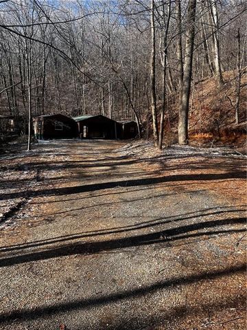 206 Oakridge Drive, Cleveland, GA 30528