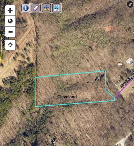 206 Oakridge Drive, Cleveland, GA 30528