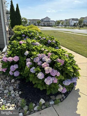 119 FELIX DR, Newark, DE 19713