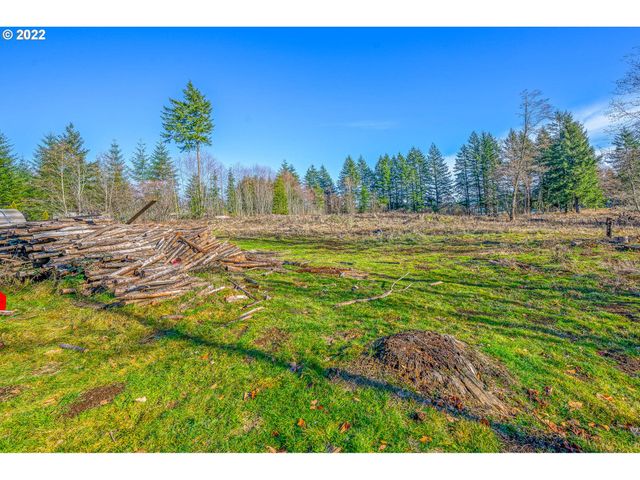 381 PANDA Rd, Washougal, WA 98671