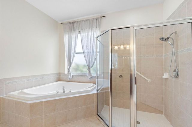 21107 BIRCHOLM COURT, Land O Lakes, FL 34637