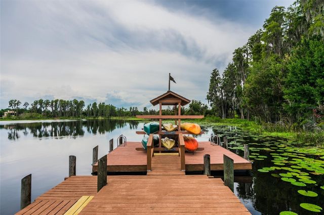 21107 BIRCHOLM COURT, Land O Lakes, FL 34637