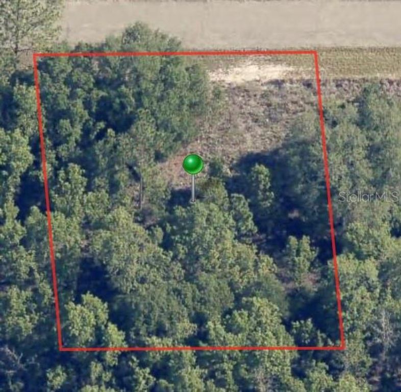 6654 N UNDERWOOD DRIVE, Citrus Springs, FL 34434