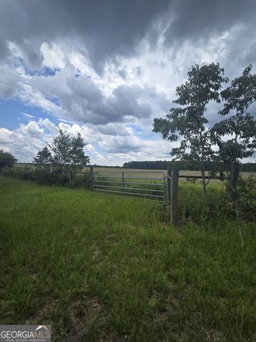 3599 Ga Highway 127, Mauk, GA 31058