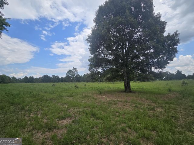 3599 Ga Highway 127, Mauk, GA 31058